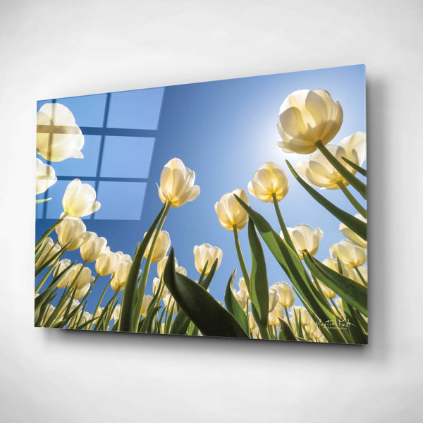 Latitude Run® Epic Art 'Look Up In White' By Martin Podt, Acryli Look